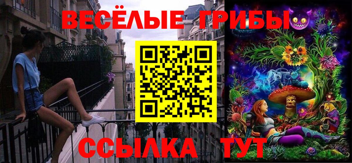 Шатура  Галлюциногенные грибы ЛСД  Вход с VPN 
